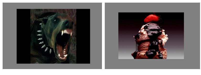 _images/affective.png