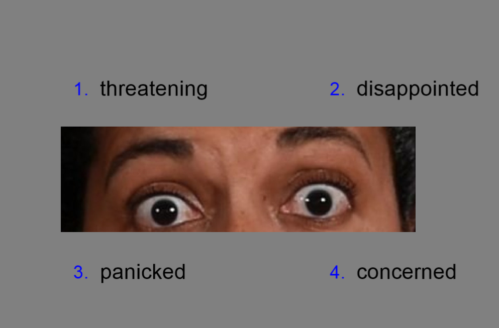 _images/reading_the_mind_in_the_eyes.png