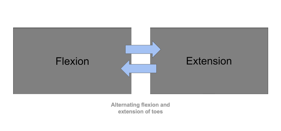 _images/toe_movement.png