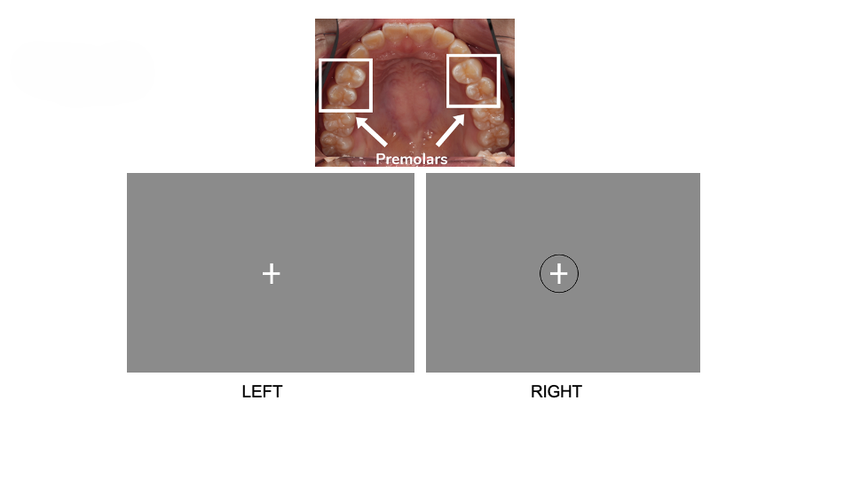 _images/tongue_movement.png